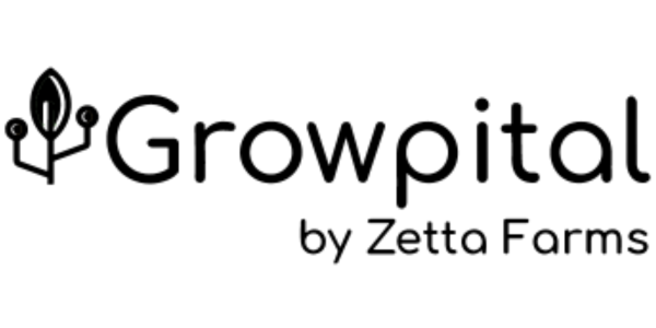 New18 logo